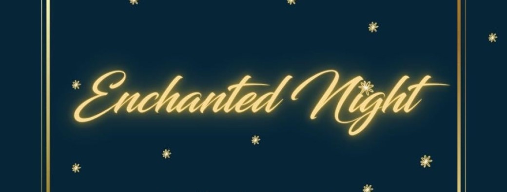 Enchanted Night 