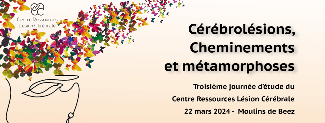 Enfants et cérébrolésions : cerveaux en construction, enfances en chantier, quels devenir ? 