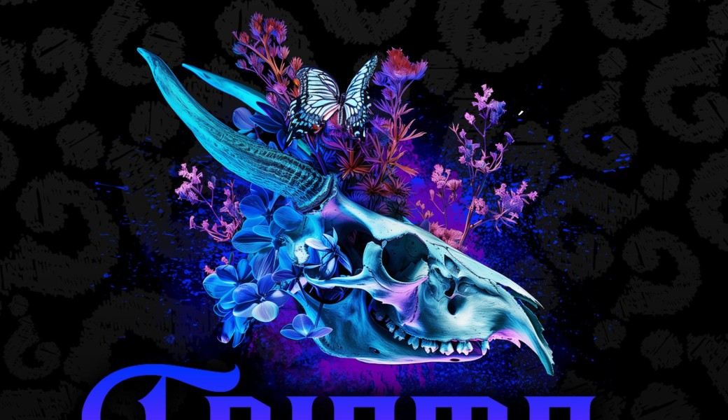 Enigma, le salon de l'étrange 2e édition