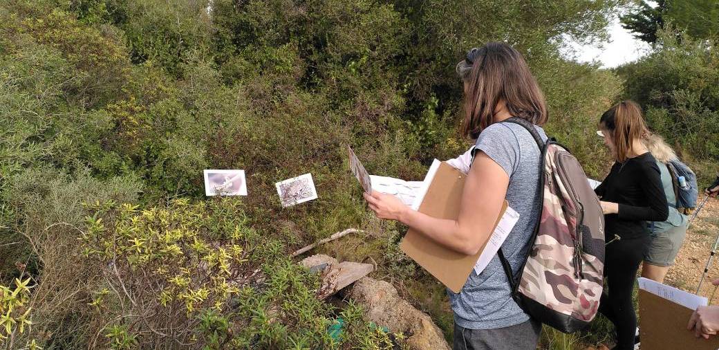 Enigmes sur le causse