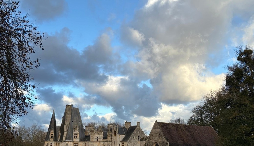 Enquête dans le parc 
