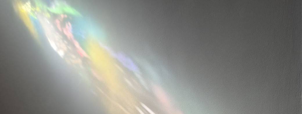 Ensemble Caldemia: The Living Light