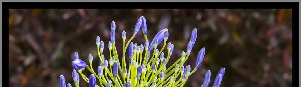 Ensemble, explorons le conflit !