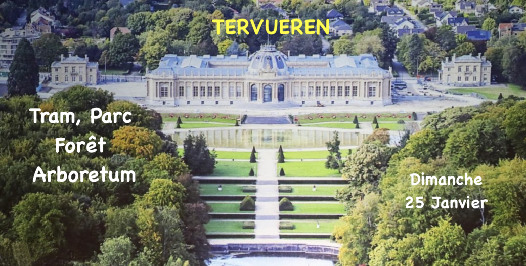 TERVUEREN: Entre Tram, Forêt et Musée 