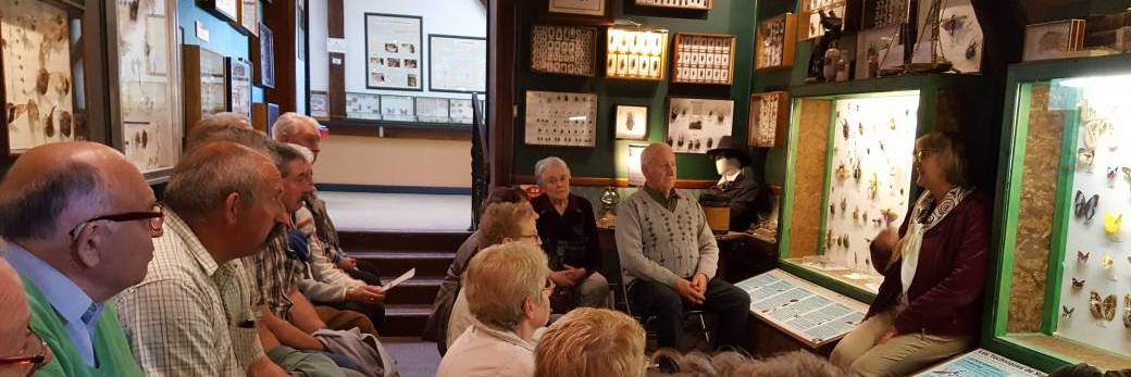 Entrée Musée avec Visite Guide 2026