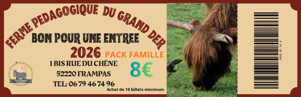 entrée pack famille