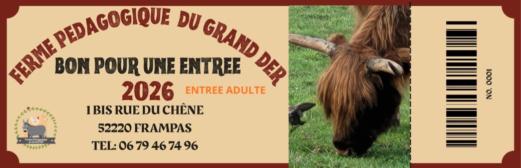 entrée parc adulte 2026