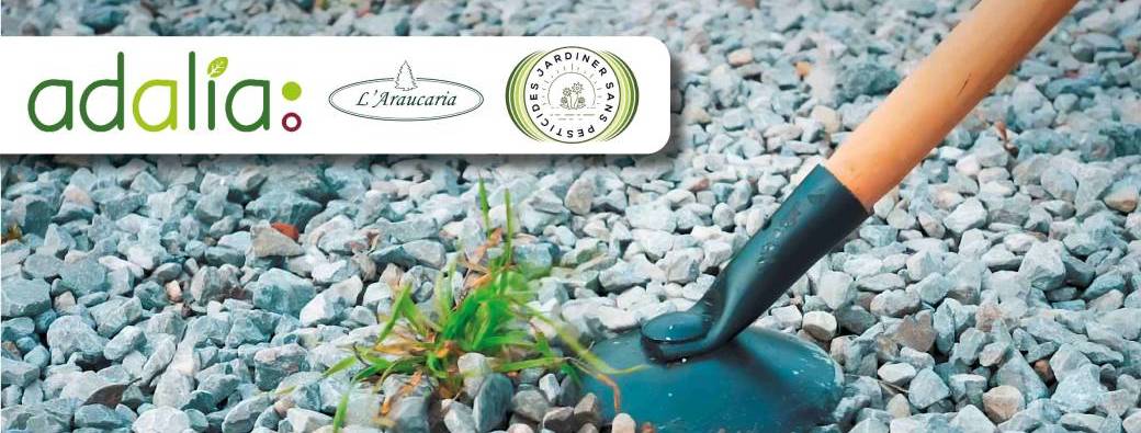 Entretenir le jardin en respectant l’environnement (Ateliers)