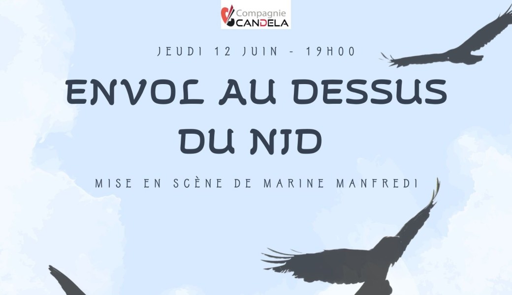 Envol au dessus du nid