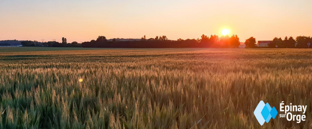 Visite de l'exploitation agricole de la Croix-Ronde