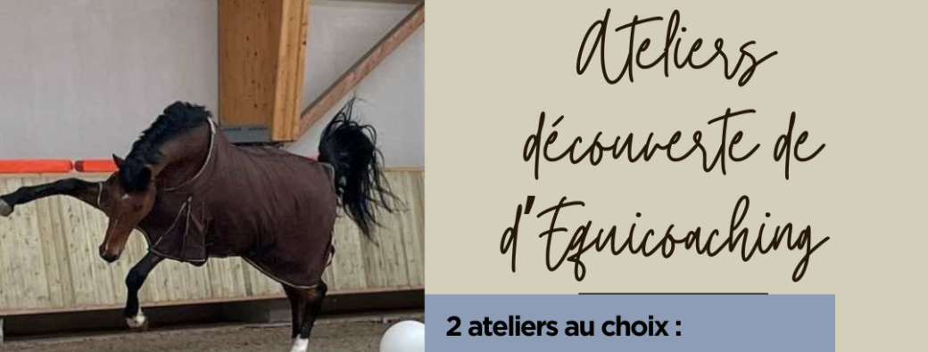 Equicoaching : Poser ses limites... en préservant la relation