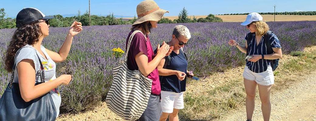 Escapade dans les Lavandes au domaine Les Grandes Marges - Agritourisme