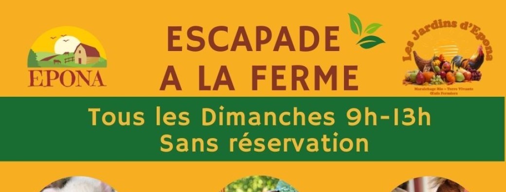 Escapade Famille à la Ferme 