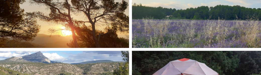 Escapade Inspirante en Provence