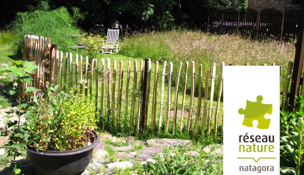 Visio-conférence : Esthétique/plan de jardin