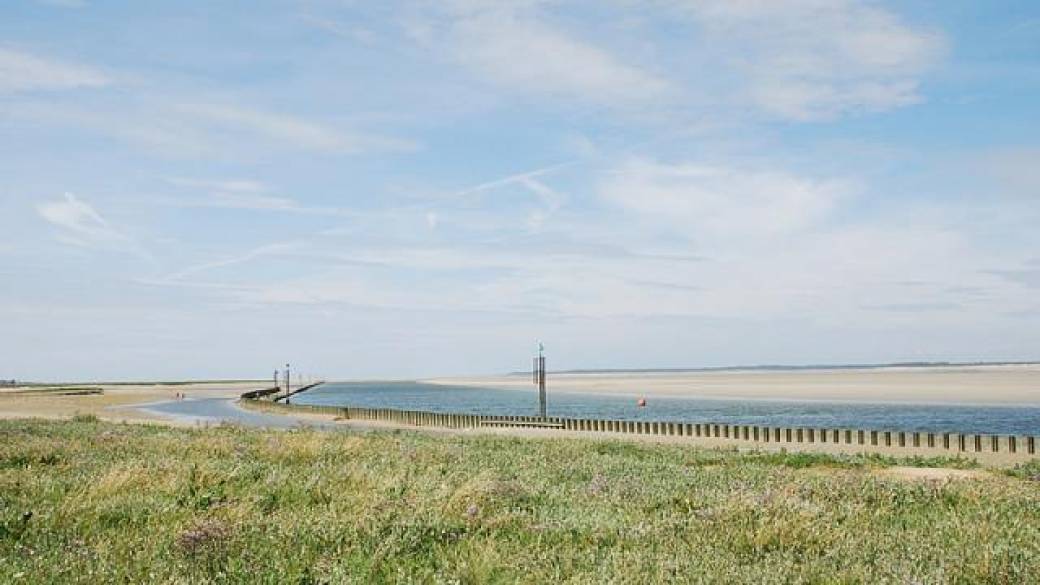 Littoral du Cap Hornu (St Valery Sur Somme)
