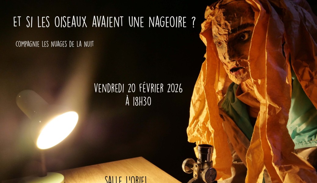 "Et si les oiseaux avaient une nageoire" - Cie Les Nuages de la Nuit (rendu de résidence)