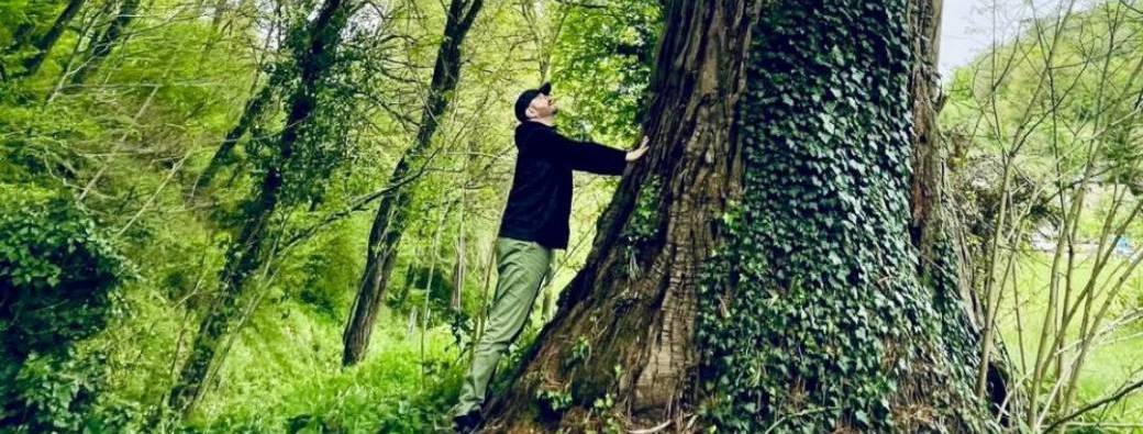 Et si tu prenais le temps de vraiment te reconnecter à un arbre ?
