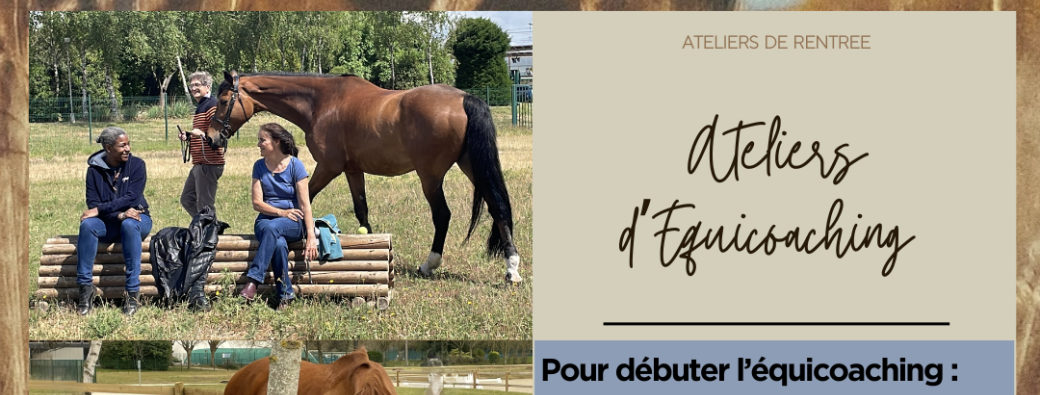 Etablir le contact, se connecter au cheval... et aux autres