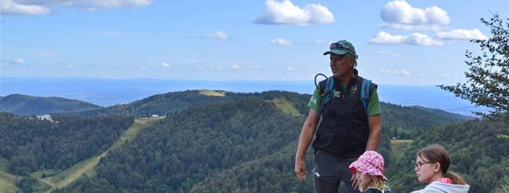 Eté nature au sommet : immersion dans une forêt du Ballon d'Alsace 