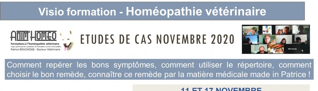 Etudes de cas Novembre 2020
