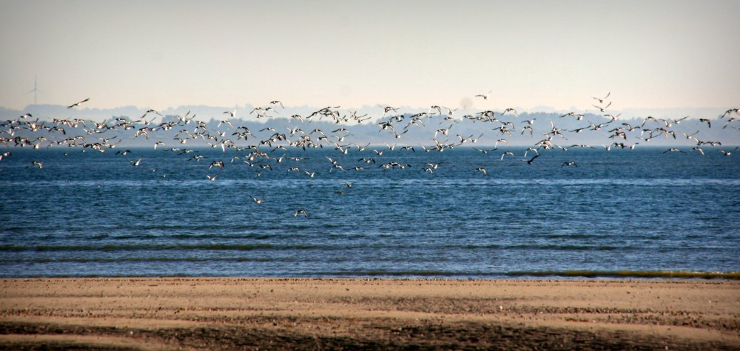 Evasion en Baie de Somme - Grande Marée