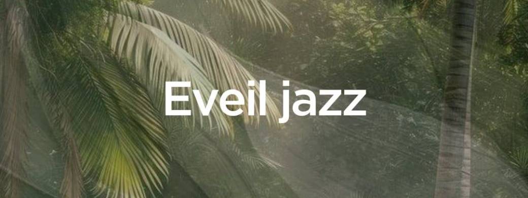 Eveil Jazz 4/5 ans - Jeudi de 16h45 à 17h30