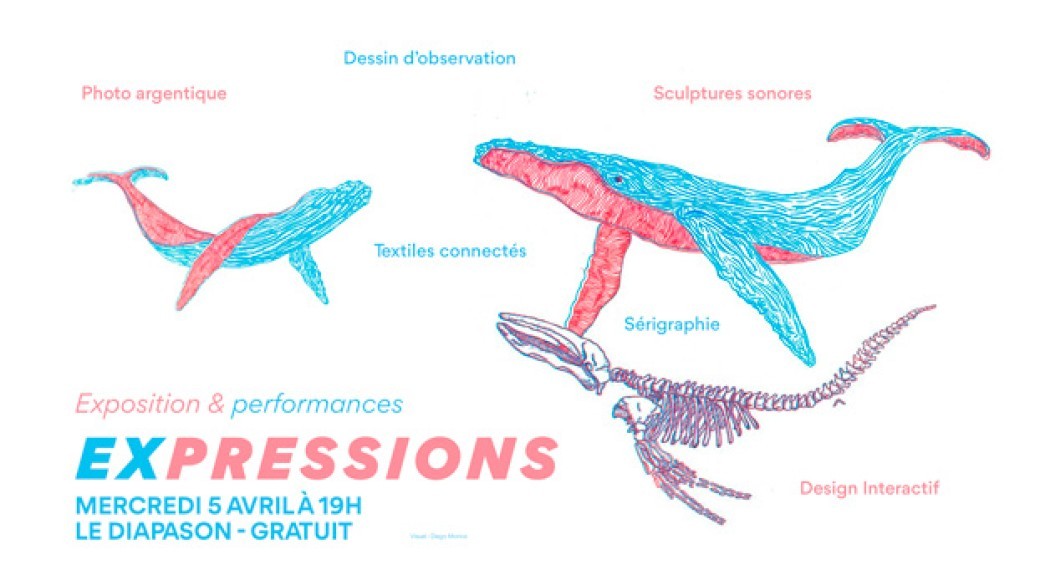 EXPRESSIONS