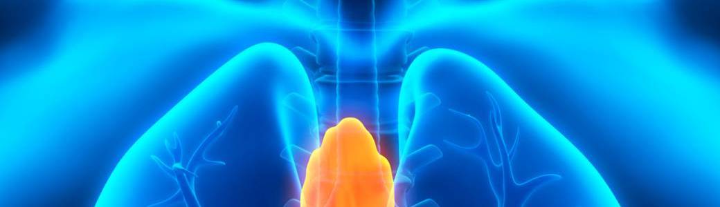 Exercice du thymus/ onde acoustique