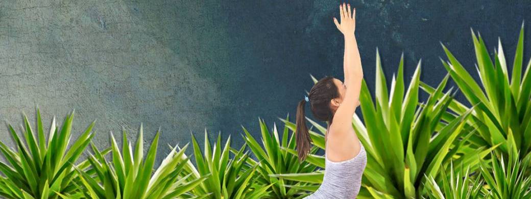 Yoga Vinyasa Flow