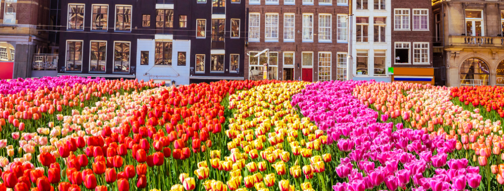 EXPAT - Amsterdam-Keukenhov-Rotterdam