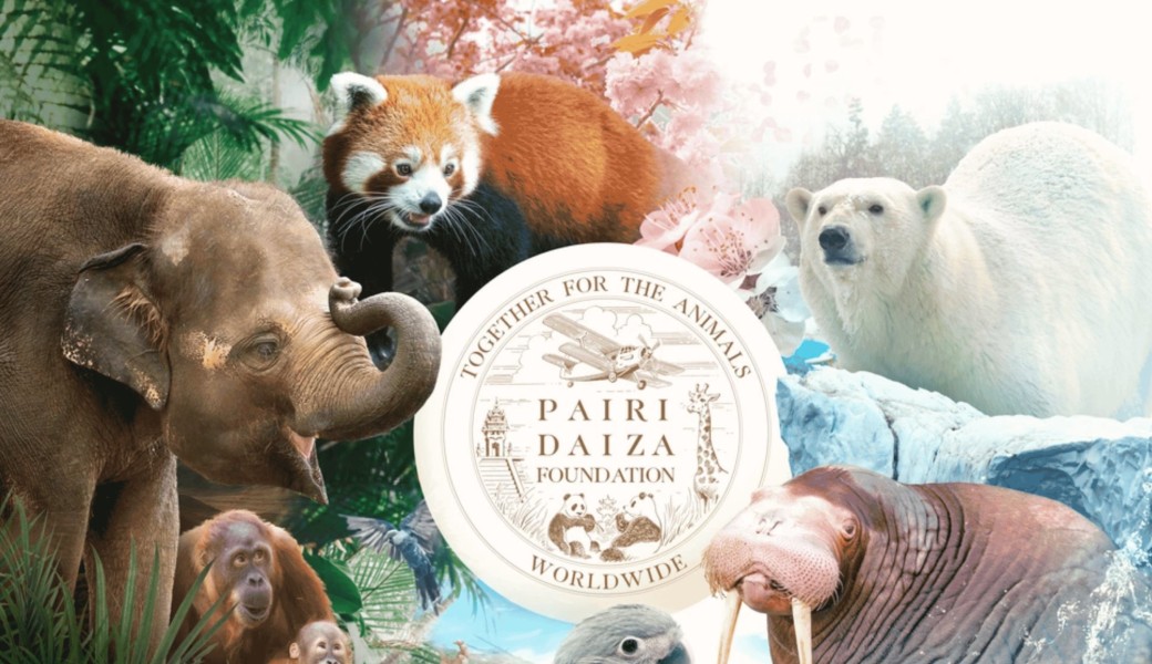 EXPAT AT - Zoo Pairi Daiza 