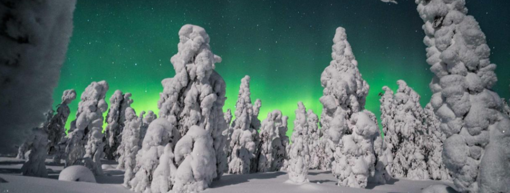 EXPAT UNT - Christmas Under the Northern Lights: Finland to Norway Arctic Roadtrip