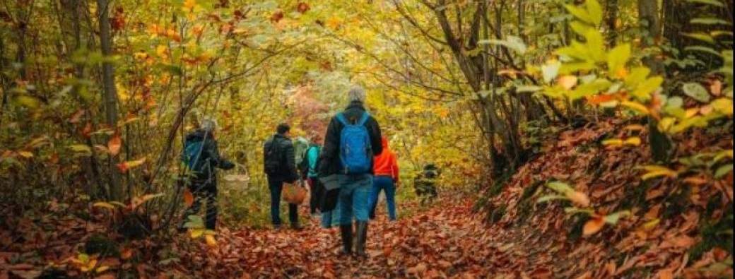 EXPAT UNT  - Forest Escape from Paris-Maisons Laffitte & Saint-Germain-En-Laye