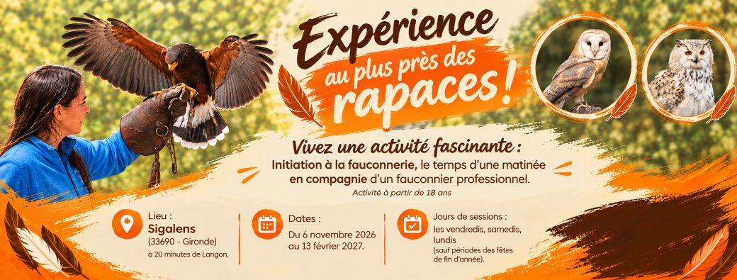 EXPERIENCE AU PLUS PRES DES RAPACES