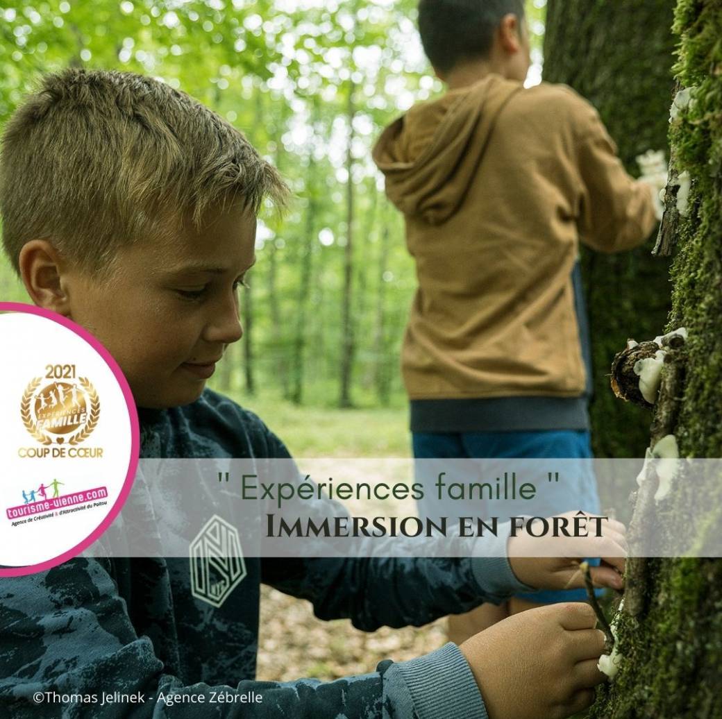  "Expérience famille"  [adulte(s)e avec enfant(s) de 6 ans/12 ans] Forêt domaniale de Moulière (8