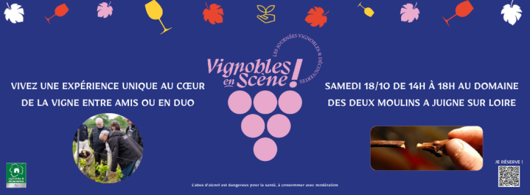 Expérience inédite au cœur de la vigne