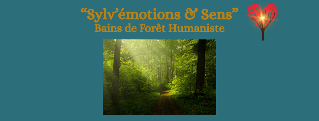 Expérience Sylv'émotions & Sens en Sylvothérapie Humaniste