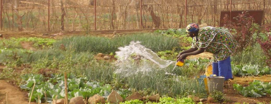 Expériences de permaculture