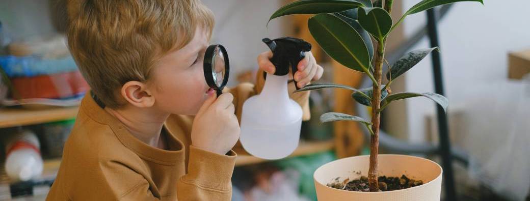 Eau et Sciences au jardin : stage