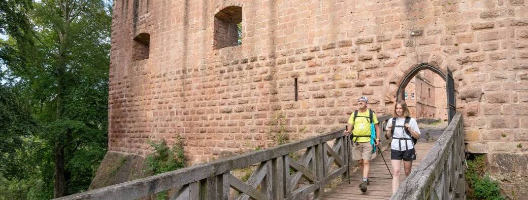 Expériences : visite guidée château Wangenbourg 2026