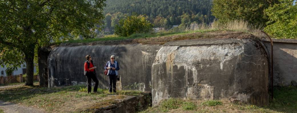 Expériences : visite guidée circuit de la mémoire 2026