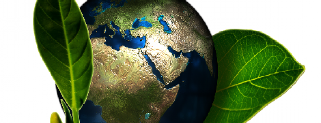 Manger bio ? Besoins d'explications pour devenir durable ?  Manger bio ? Besoins d'explications pour devenir durable ?