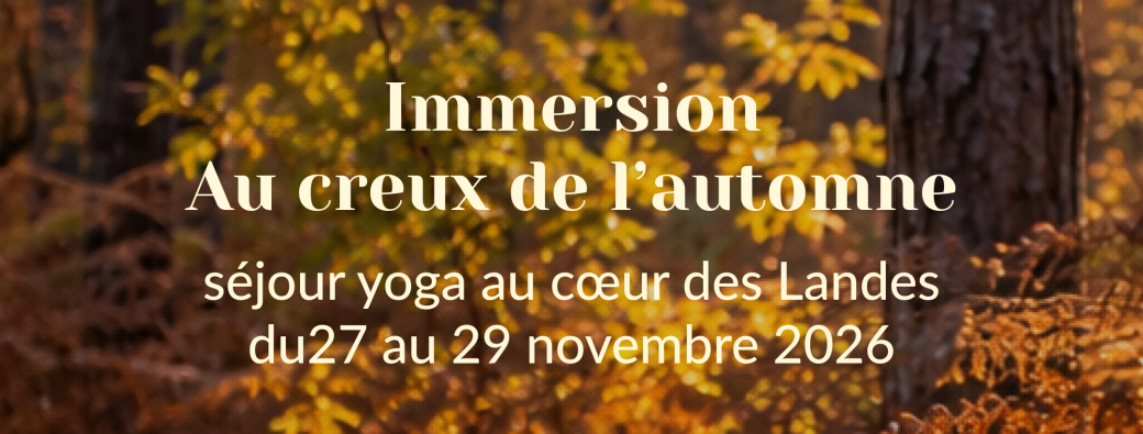 exploration contemplation | séjour yoga - au creux de l'automne 