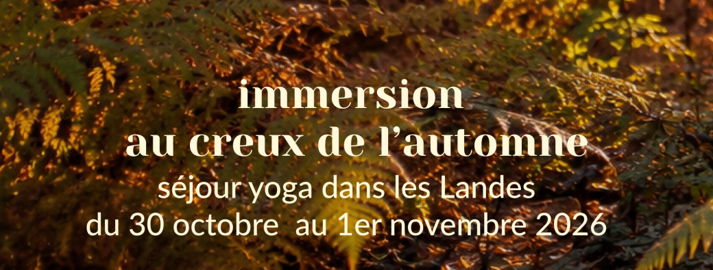 exploration contemplation | séjour yoga - au creux de l'automne 