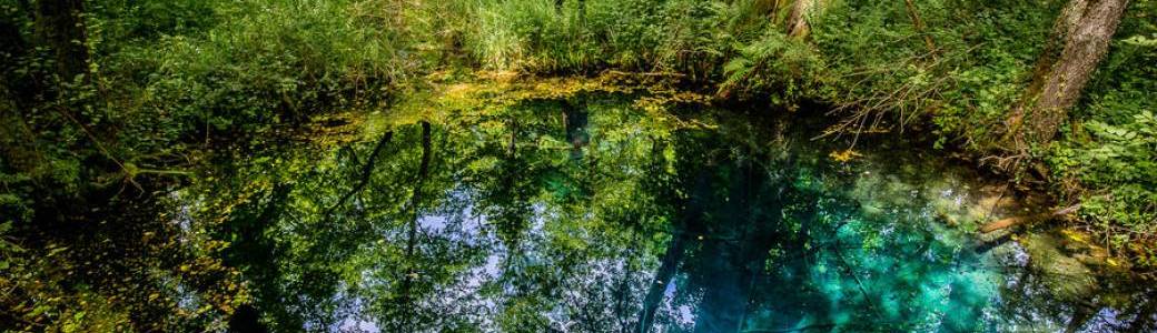  Exploration des puits du marais