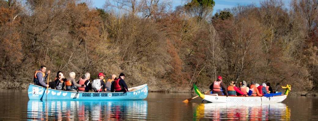 Explorer la vie aquatique en dragon boat