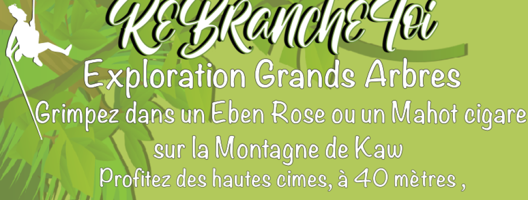 Exploration Grands Arbres 2026