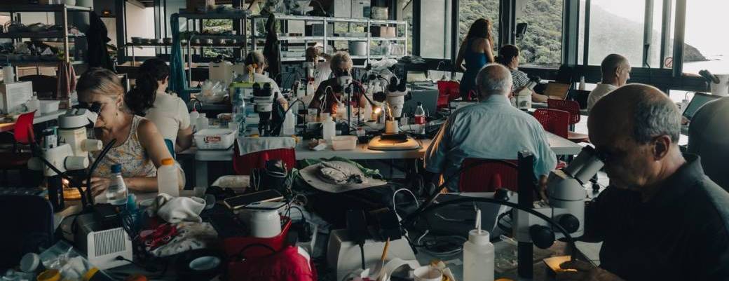 Explorer l’océan : ATLASea, une plongée au cœur de la diversité marine