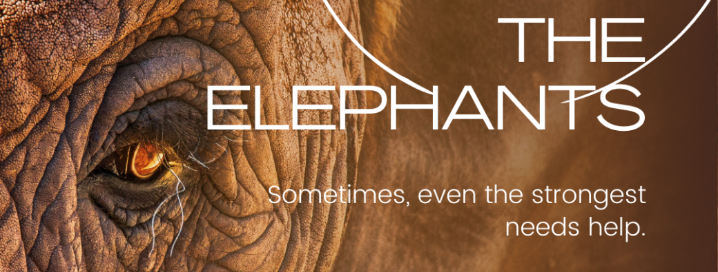 Explorer les merveilles des sanctuaire d'éléphants en Thaïlande